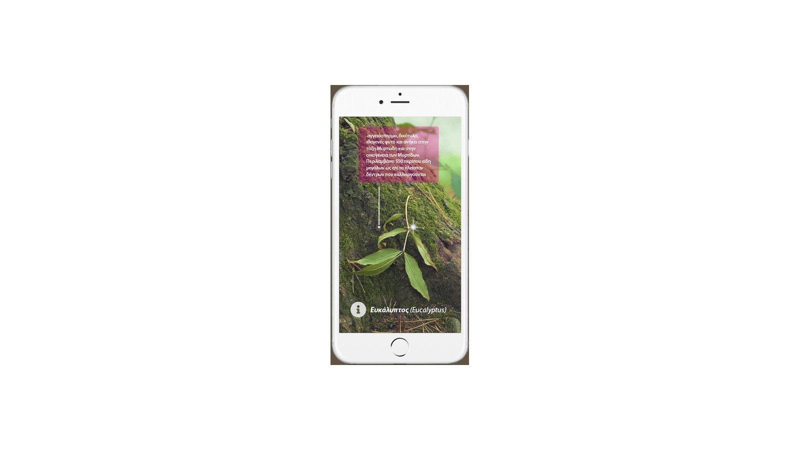 ADVENT: Augmented Visitor Experience in National Parks